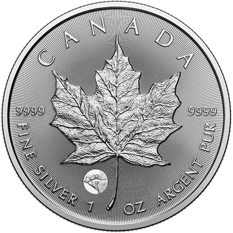 Canada: silver coin Maple Leaf Polar Bear 2025 1 oz Collectible coins