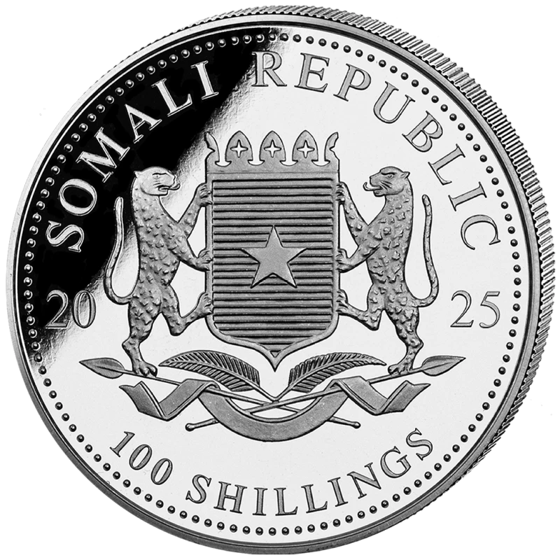 Somalia Silver Coin African Wildlife Leopard 2025 Gilded 1 oz Collectible coins