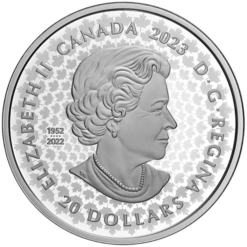 Canada: silver coin Grizzly 2023 Proof ultra-high relief 1 oz Collectible coins