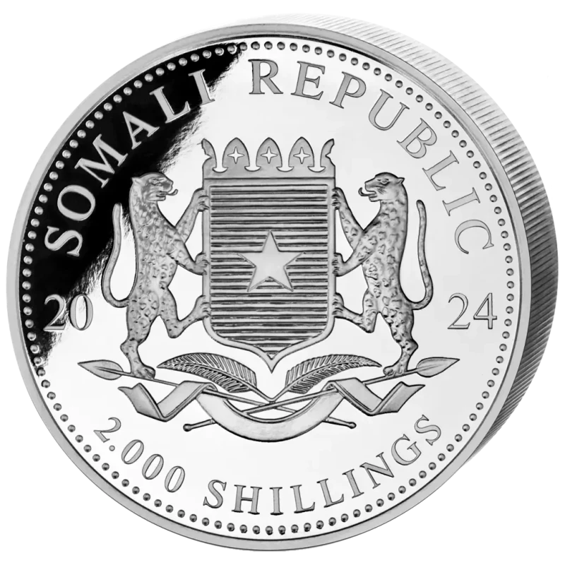 Somalia Silbermünze Afrikanische Wildtiere Leopard 2024 1000 g Sammlermünzen