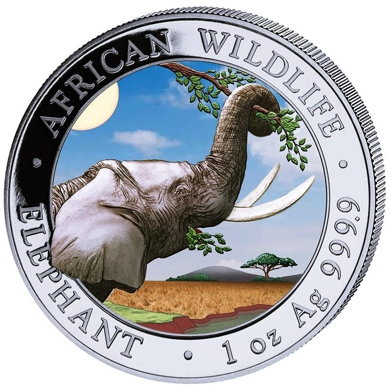 Somalia Silbermünze Afrikanische Wildtiere Elefant 2023 Colored Day Design 1 oz Sammlermünzen