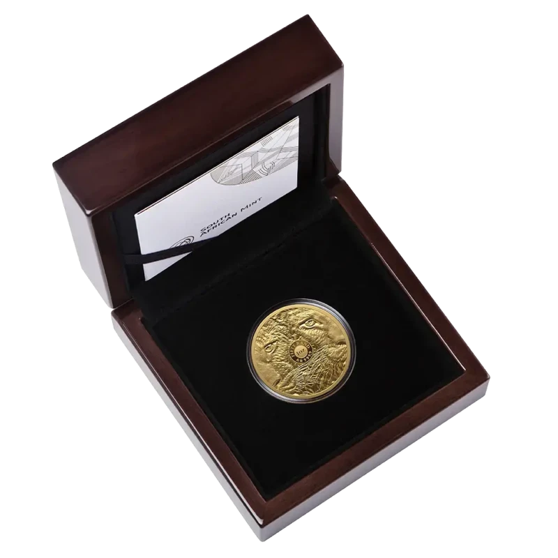 South Africa Gold Coin Big Five III Leopard 2026 Proof 1 oz Collectible coins
