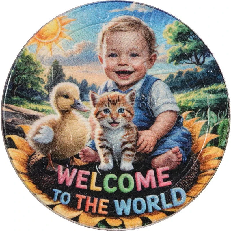 Armenien Silbermünze Arche Noah Baby Boy 2025 koloriert 1 oz Sammlermünzen